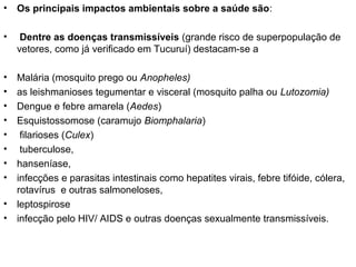 •

Os principais impactos ambientais sobre a saúde são:

•

Dentre as doenças transmissíveis (grande risco de superpopulação de
vetores, como já verificado em Tucuruí) destacam-se a

•
•
•
•
•
•
•
•

Malária (mosquito prego ou Anopheles)
as leishmanioses tegumentar e visceral (mosquito palha ou Lutozomia)
Dengue e febre amarela (Aedes)
Esquistossomose (caramujo Biomphalaria)
filarioses (Culex)
tuberculose,
hanseníase,
infecções e parasitas intestinais como hepatites virais, febre tifóide, cólera,
rotavírus e outras salmoneloses,
leptospirose
infecção pelo HIV/ AIDS e outras doenças sexualmente transmissíveis.

•
•

 