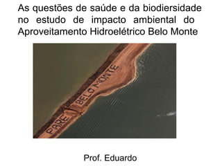 As questões de saúde e da biodiersidade
no estudo de impacto ambiental do
Aproveitamento Hidroelétrico Belo Monte

Prof. Eduardo

 