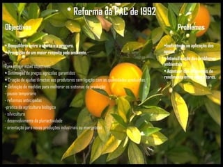 * Reforma da PAC de 1992
Objectivos Problemas
• Reequilíbrio entre a oferta e a procura.
• Promoção de um maior respeito pelo ambiente.
Para atingir estes objectivos:
• Diminuição de preços agrícolas garantidos
• Criação de ajudas directas aos produtores sem ligação com as quantidades produzidas.
• Definição de medidas para melhorar os sistemas de produção:
- pousio temporário
- reformas antecipadas
-prática da agricultura biológica
- silvicultura
- desenvolvimento da pluriactividade
- orientação para novas produções industriais ou energéticas
•Ineficiência na aplicação dos
apoios
• Intensificação dos problemas
ambientais
• Acentuar das diferenças de
rendimento entre agricultores.
 