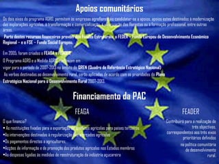 Apoios comunitários
Os dois eixos do programa AGRO, permitem às empresas agroflorestais candidatar-se a apoios, apoios estes destinados à modernização
das explorações agrícolas, à transformação e comercialização, à valorização das florestas ou à formação profissional, entre outras
áreas.
Parte destes recursos financeiros provém dos Fundos Estruturais, o FEDER ­ Fundo Europeu de Desenvolvimento Económico
Regional ­ e o FSE ­ Fundo Social Europeu.
Em 2005, foram criados o FEAGA e FEADER
O Programa AGRO e a Medida AGRIS continuam em
vigor para o período de 2007-2013 no âmbito do QREN (Quadro de Referência Estratégico Nacional)
As verbas destinadas ao desenvolvimento rural, serão aplicadas de acordo com as prioridades do Plano
Estratégico Nacional para o Desenvolvimento Rural 2007-2013.
Financiamento da PAC
FEAGA FEADER
O que financia?
• As restituições fixadas para a exportação de produtos agrícolas para países terceiros
•As intervenções destinadas à regularização dos mercados agrícolas
•Os pagamentos directos a agricultores;
•Acções de informação e de promoção dos produtos agrícolas nos Estados membros
•As despesas ligadas às medidas de reestruturação da indústria açucareira
Contribuirá para a realização de
três objectivos,
correspondentes aos três eixos
prioritários definidos
na política comunitária
de desenvolvimento
rural.
 