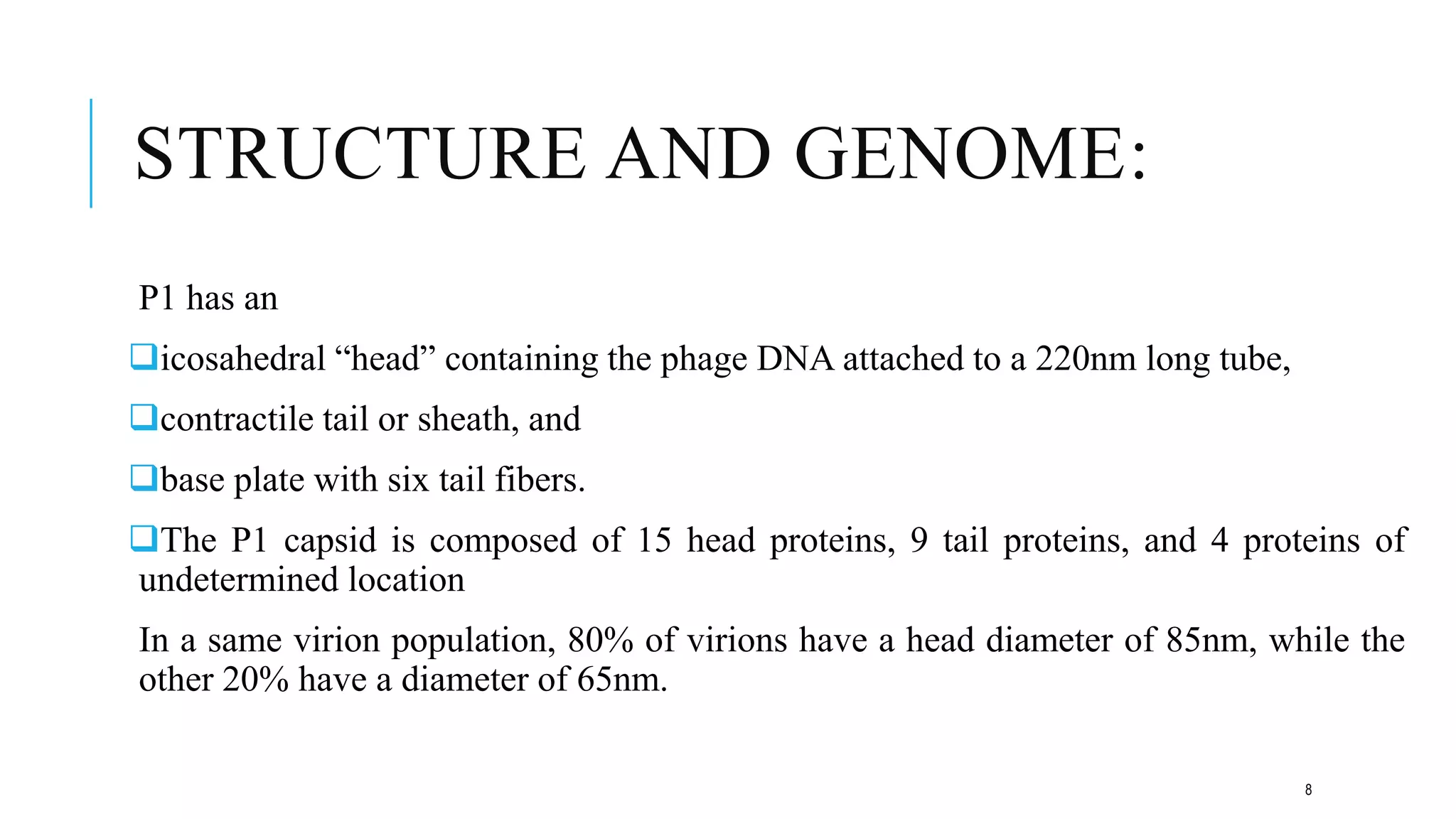 STRUCTURE AND GENOME:
P1 has an
icosahedral “head” containing the phage DNA attached to a 220nm long tube,
contractile tail or sheath, and
base plate with six tail fibers.
The P1 capsid is composed of 15 head proteins, 9 tail proteins, and 4 proteins of
undetermined location
In a same virion population, 80% of virions have a head diameter of 85nm, while the
other 20% have a diameter of 65nm.
8
 