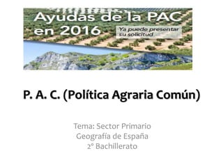 P. A. C. (Política Agraria Común)
Tema: Sector Primario
Geografía de España
2º Bachillerato
 