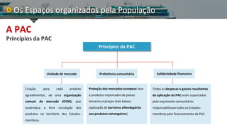 PAC.pdf