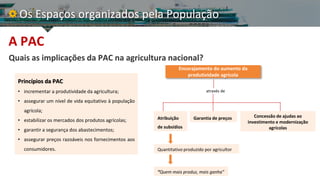 A PAC
Quais as implicações da PAC na agricultura nacional?
Os Espaços organizados pela População
Princípios da PAC
• incre...