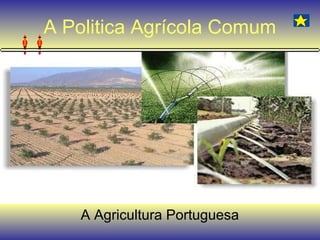 A Politica Agrícola Comum




   A Agricultura Portuguesa
 