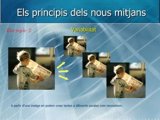Els principis dels nous mitjans Variabilitat Exemple 2 A partir d’una imatge en podem crear tantes a diferents escales com necessitem. 