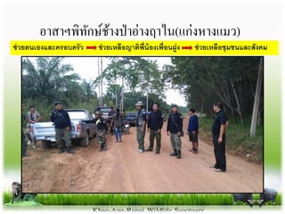 อาสาฯพิทักษ์ช้างป่าอ่างฤาไน(แก่งหางแมว)
ช่วยตนเองและครอบครัว ช่วยเหลือญำติพี่น้องเพื่อนฝูง ช่วยเหลือชุมชนและสังคม
 