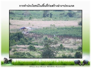 กำรทำประโยชน์ในพื้นที่ก่อสร้ำงอ่ำงฯประแกต
 