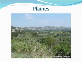 Plaines