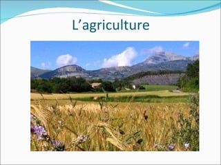 L’agriculture