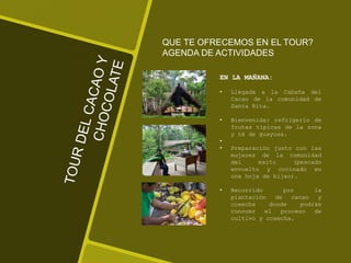 QUE TE OFRECEMOS EN EL TOUR?
AGENDA DE ACTIVIDADES
EN LA MAÑANA:
• Llegada a la Cabaña del
Cacao de la comunidad de
Santa Rita.
• Bienvenida: refrigerio de
frutas típicas de la zona
y té de guayusa.
•
• Preparación junto con las
mujeres de la comunidad
del maito (pescado
envuelto y cocinado en
una hoja de bijao).
• Recorrido por la
plantación de cacao y
cosecha donde podrás
conocer el proceso de
cultivo y cosecha.
 