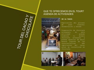 QUE TE OFRECEMOS EN EL TOUR?
AGENDA DE ACTIVIDADES
EN LA TARDE:
• Explicación del proceso
de post cosecha:
fermentación y secado
• Preparación de chocolate
artesanal, en esta
actividad podrás
elaborar tu propio
chocolate artesanal y
podrás apreciar de mejor
manera algunas de las
características más
importantes del cacao
antes de convertirse en
chocolate.
 