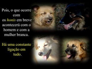 Pois, o que ocorre
com
os honis em breve
acontecerá com o
homem e com a
mulher branca.
Há uma constante
ligação em
tudo.
 