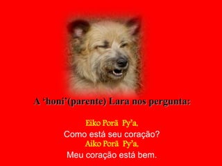 A ‘honi’(parente) Lara nos pergunta:
Eiko Porã Py’a,
Como está seu coração?
Aiko Porã Py’a,
Meu coração está bem.
 