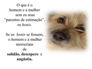 O que é o
homem e a mulher
sem os seus
“parentes de estimação”,
os honis.
Se os honis se fossem,
o homem e a mulher
morreriam
de
solidão, desespero e
angústia.
 