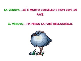 LA VEDOVA ...LE È MORTO L’UCCELLO E NON VIVE IN PACE. IL VEDOVO ...HA PERSO LA PACE DELL’UCCELLO. 