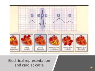 Electrical representation
and cardiac cycle
 