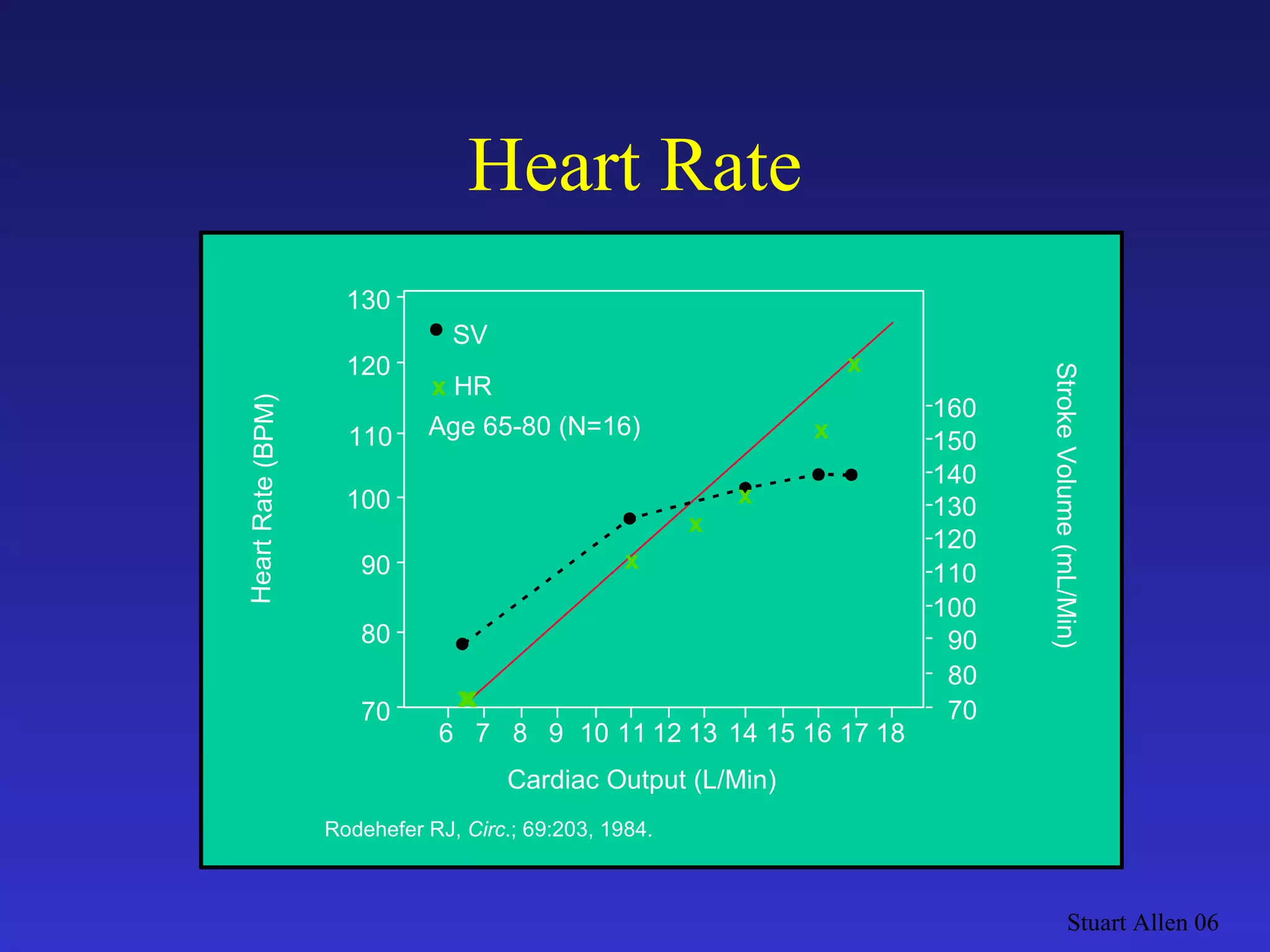 Heart Rate Stuart Allen 06 x x x x SV x  HR Age 65-80 (N=16) 130 120 110 100 90 80 70 Heart Rate (BPM) Stroke Volume (mL/Min) Cardiac Output (L/Min) Rodehefer RJ,  Circ .; 69:203, 1984. 6 7 8 9 10 11 12 13 14 15 16 13 17 18 70 80 90 100 110 120 130 140 150 160 x 