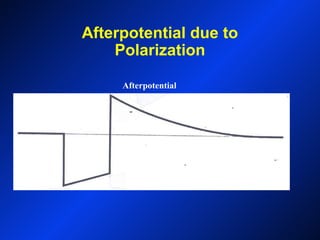 Afterpotential due to
Polarization
Afterpotential
 