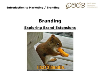 Introduction to Marketing / Branding
Branding
Exploring Brand Extensions
 