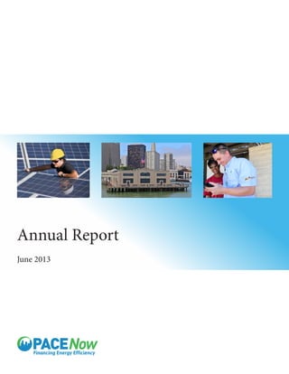 Annual Report
June 2013
 