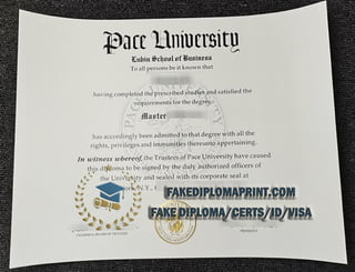 Pace University degree.pdf