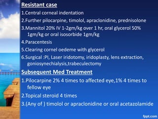 Resistant case
1.Central corneal indentation
2.Further pilocarpine, timolol, apraclonidine, prednisolone
3.Mannitol 20% IV 1-2gm/kg over 1 hr, oral glycerol 50%
1gm/kg or oral isosorbide 1gm/kg
4.Paracentesis
5.Clearing cornel oedeme with glycerol
6.Surgical :PI, Laser iridotomy, iridoplasty, lens extraction,
goniosynechialysis,trabeculectomy
Subsequent Med Treatment
1.Pilocarpine 2% 4 times to affected eye,1% 4 times to
fellow eye
2.Topical steroid 4 times
3.(Any of ) timolol or apraclonidine or oral acetazolamide
 