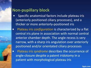 Non-pupillary block
• Specific anatomical factors include plateau iris
(anteriorly positioned ciliary processes), and a
thicker or more anteriorly-positioned iris
• Plateau iris configuration is characterized by a flat
central iris plane in association with normal central
anterior chamber depth. The angle recess is very
narrow, with a sharp iris angulation over anteriorly
positioned and/or orientated ciliary processes
• Plateau iris syndrome describes the occurrence of
angle-closure despite a patent iridotomy in a
patient with morphological plateau iris
 
