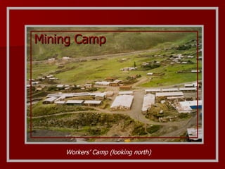 Mining Camp Workers’ Camp (looking north) 