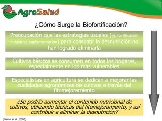 Experiencias de la Biofortificación en Países Latinoamericanos y Caribeños