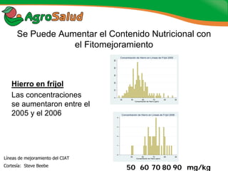 Experiencias de la Biofortificación en Países Latinoamericanos y Caribeños
