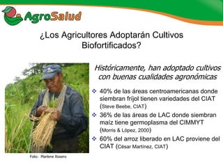 Experiencias de la Biofortificación en Países Latinoamericanos y Caribeños