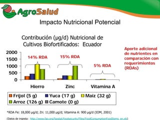 Experiencias de la Biofortificación en Países Latinoamericanos y Caribeños