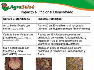 Experiencias de la Biofortificación en Países Latinoamericanos y Caribeños