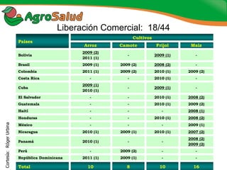 Experiencias de la Biofortificación en Países Latinoamericanos y Caribeños