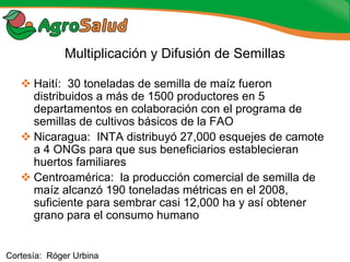 Experiencias de la Biofortificación en Países Latinoamericanos y Caribeños