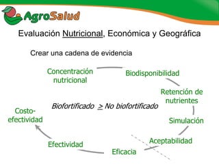Experiencias de la Biofortificación en Países Latinoamericanos y Caribeños