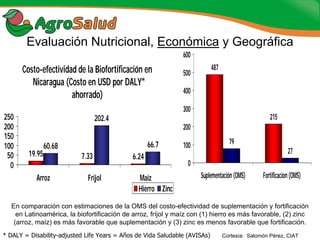Experiencias de la Biofortificación en Países Latinoamericanos y Caribeños