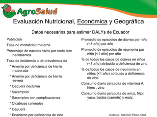 Experiencias de la Biofortificación en Países Latinoamericanos y Caribeños