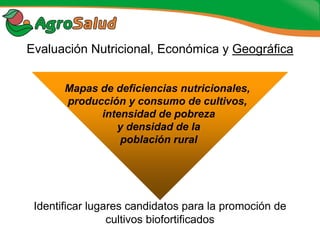 Experiencias de la Biofortificación en Países Latinoamericanos y Caribeños