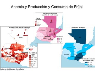 Experiencias de la Biofortificación en Países Latinoamericanos y Caribeños