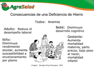 Experiencias de la Biofortificación en Países Latinoamericanos y Caribeños
