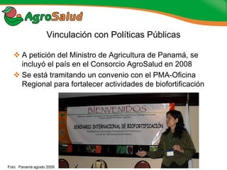 Experiencias de la Biofortificación en Países Latinoamericanos y Caribeños