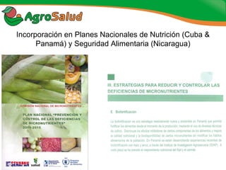 Experiencias de la Biofortificación en Países Latinoamericanos y Caribeños