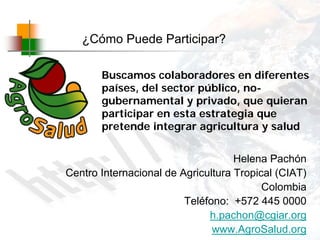 Experiencias de la Biofortificación en Países Latinoamericanos y Caribeños