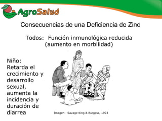 Experiencias de la Biofortificación en Países Latinoamericanos y Caribeños