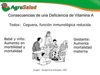 Experiencias de la Biofortificación en Países Latinoamericanos y Caribeños