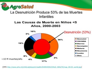 Experiencias de la Biofortificación en Países Latinoamericanos y Caribeños