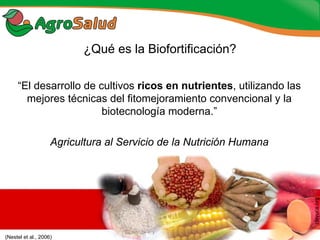 Experiencias de la Biofortificación en Países Latinoamericanos y Caribeños
