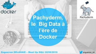 Pachyderm,
le Big Data à
l’ère de
Docker
Enguerran DELAHAIE – Meet Up SQLI 22/06/2016 enguerran_44
 